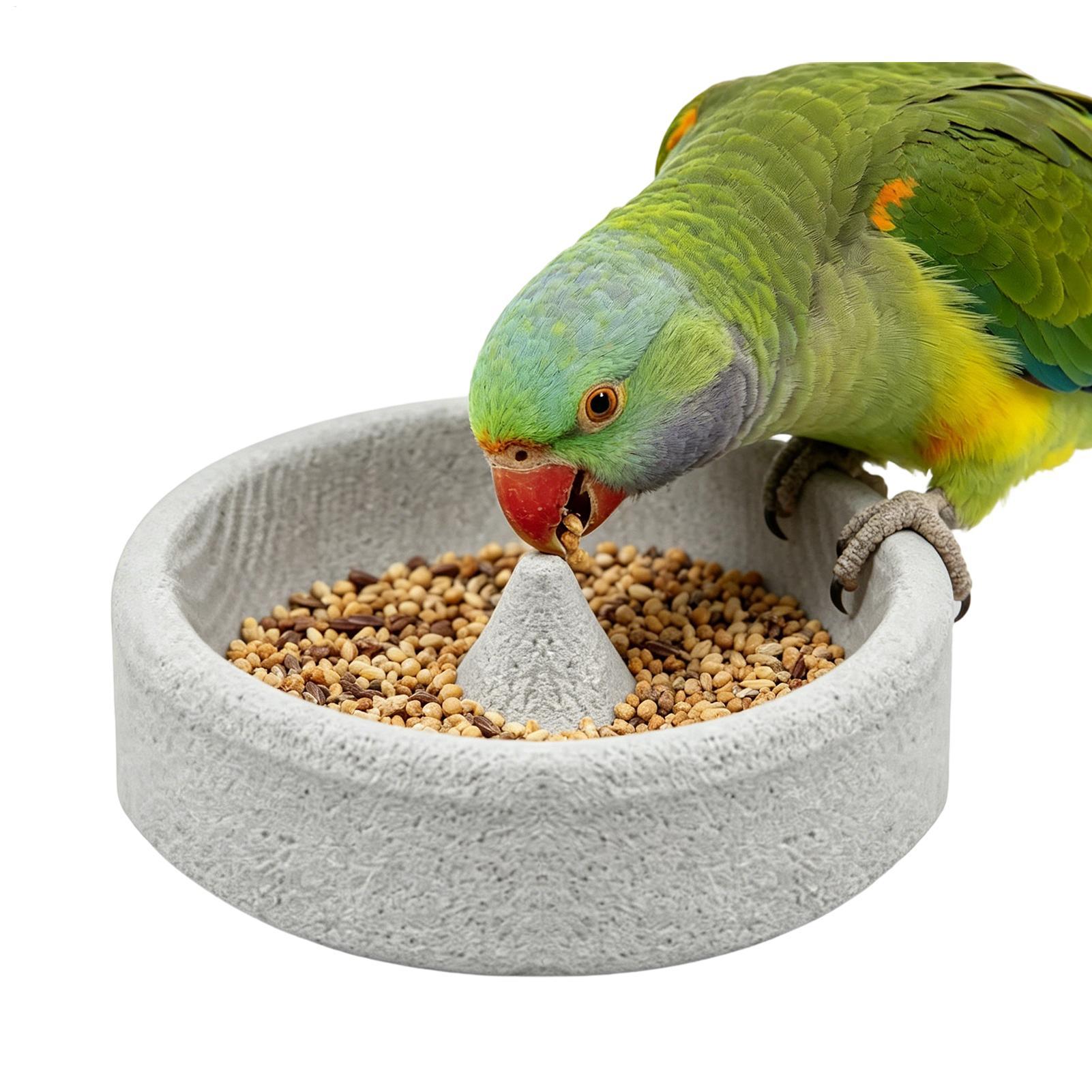 Pengumpan Burung dari Batu Apu - Stones Watches & Jewelry In Sweden Ab ulasan dan harga